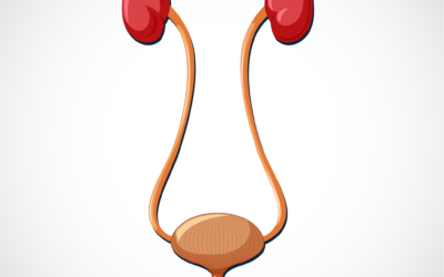 What Makes Charnock Hospital a Trusted Name in Urology Services