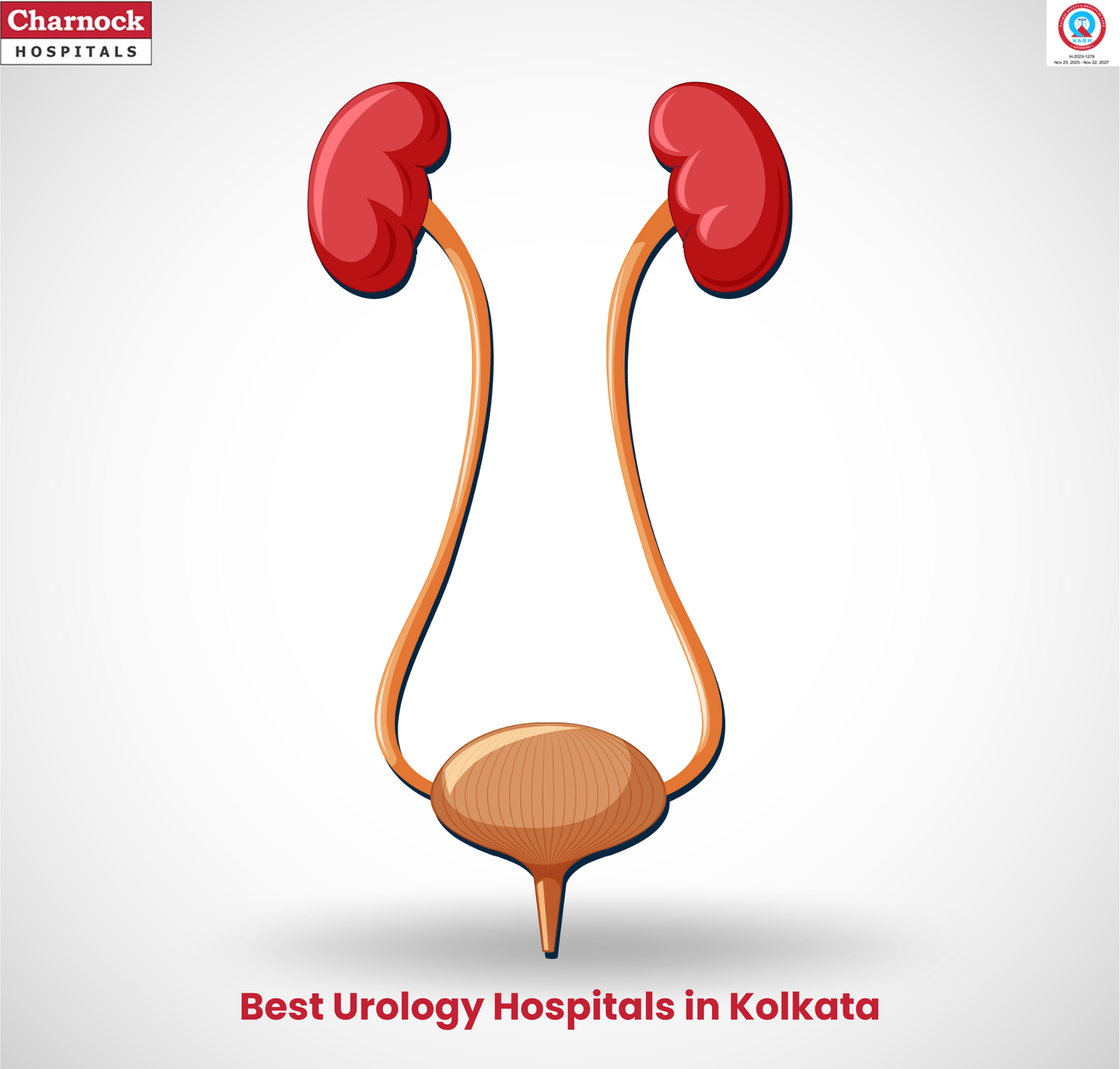 Best Urology Hospitals in Kolkata Best Urology Hospitals in Kolkata