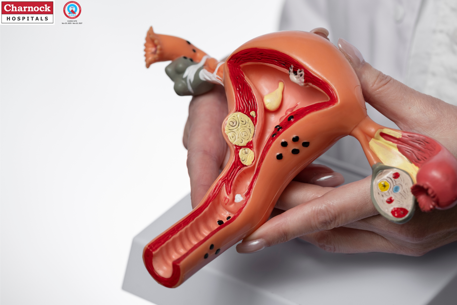 best gynecology and obstetrics hospital in Kolkata best gynecology and obstetrics hospital in Kolkata