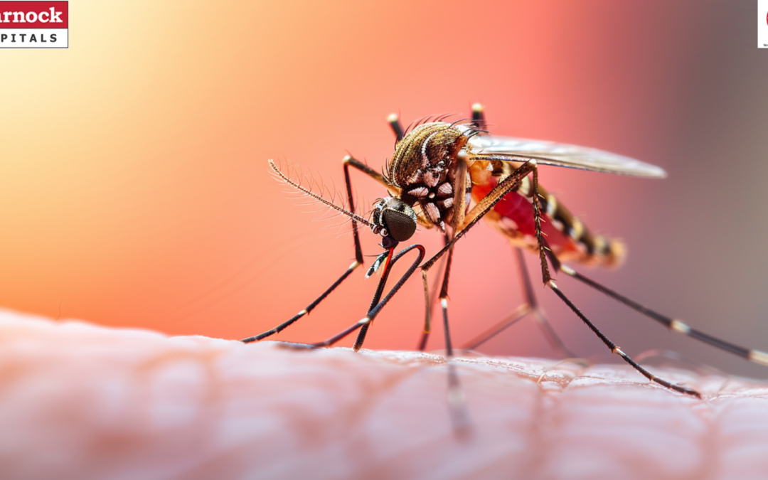 Why Dengue Cases Are Rising Every Year: Climate Change and Urbanization