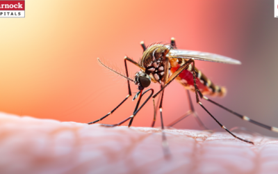 Why Dengue Cases Are Rising Every Year: Climate Change and Urbanization